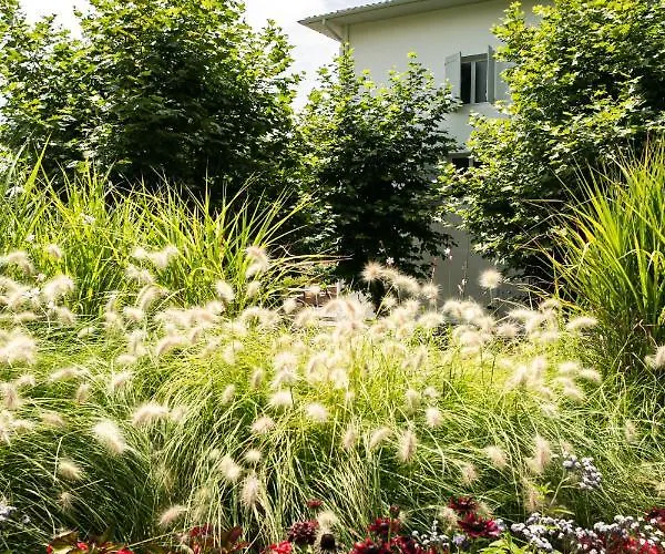 Du Pont ホテル 2*