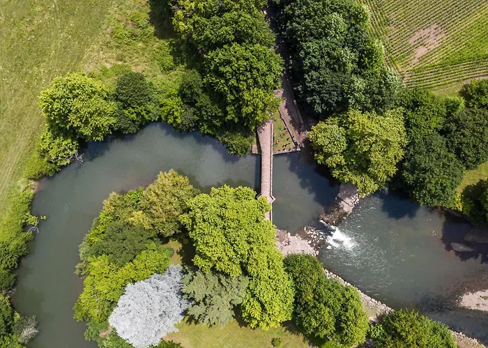 Du Pont