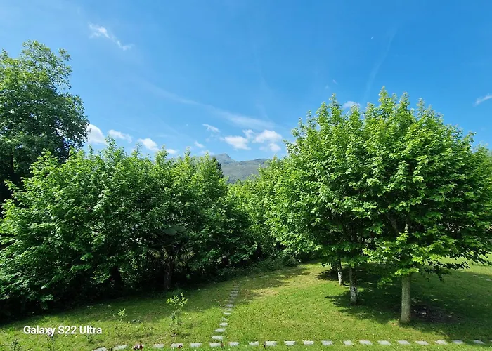 Du Pont アスカン